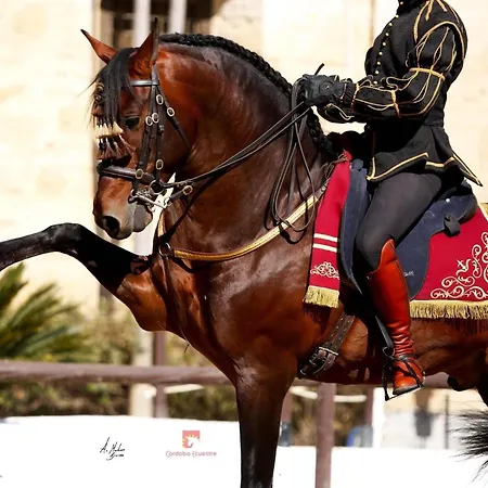 Apartment La Esquina De San Basilio Cordoba