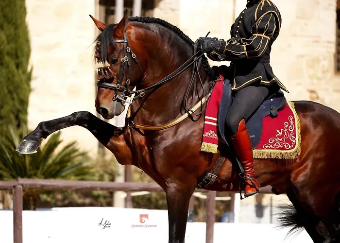 Apartment La Esquina De San Basilio Cordoba